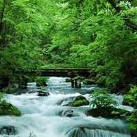 人文系 読書の森