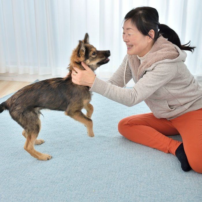 犬に噛まれたとき 絶対にやってはいけない３つのこと