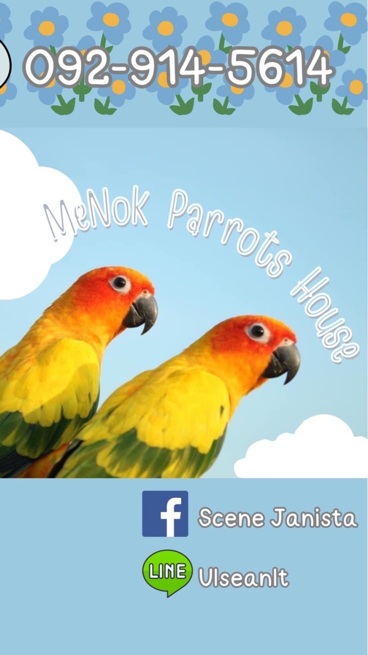 Me Nok Parrots House ขายนกแก้วทุกชนิด นครปฐม