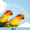 Me Nok Parrots House ขายนกแก้วทุกชนิด นครปฐม