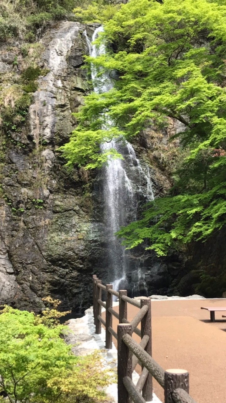 病理バーベキュー