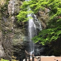 病理バーベキュー