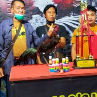 ซุ้มเพชรเต็งเอี่ยว
