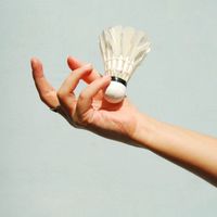 hobbies🏸【ホビーズ】