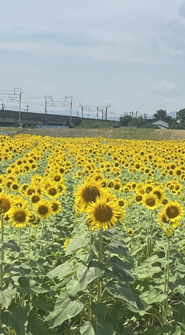 R45〜岐阜県のんびりカラオケ🎤仲間😊