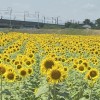 R45〜岐阜県のんびりカラオケ🎤仲間😊