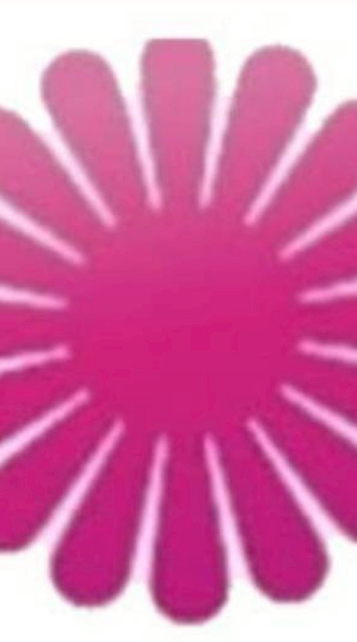 華生-陳宏麟-田善榕公益團隊