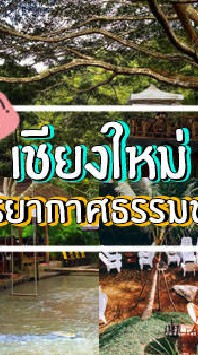 ทุนพัฒนาชีวิต อ.เชียงใหม่