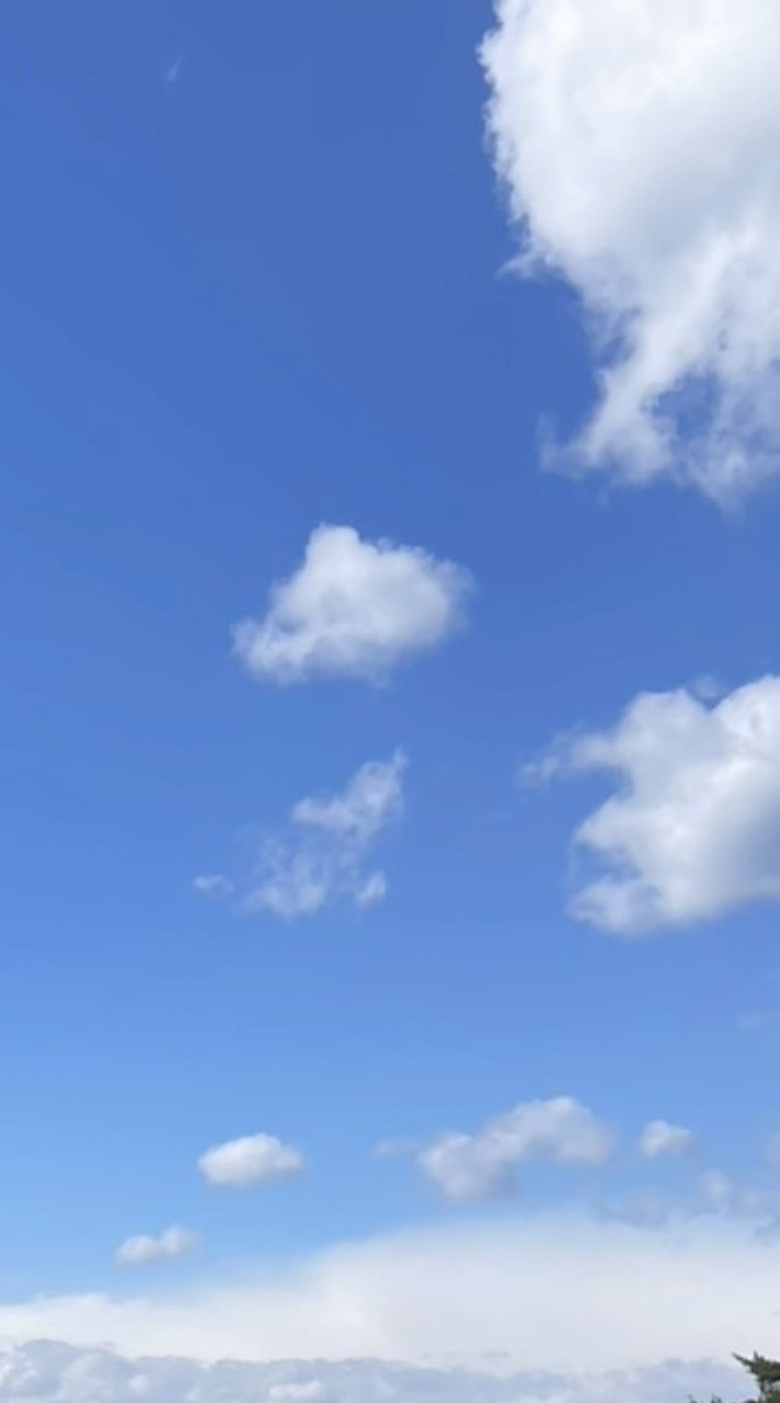 OpenChat #47同期生会