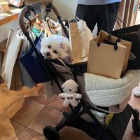 一起來敗家˙˚ʚ(꒪ˊ꒳ˋ꒪)ɞ˚˙