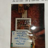 แลกเปลี่ยนไก่ชนพม่าตีเชิง(เหล่าเยียร์ตะวันฉาย)หลานไอ้โด้19นาที