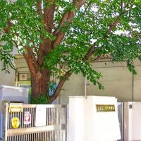 文京十中吹奏楽部51.52.53年度会