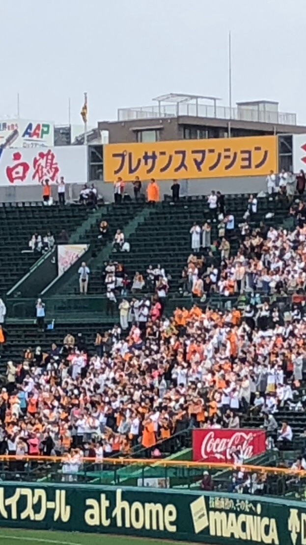 プロ野球ファン来て