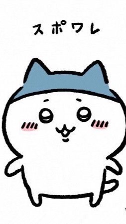 雑オプ
