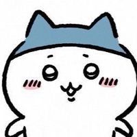 雑オプ