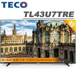 ◎3840x2160 4K，IPS硬板，HDR高動態範圍，超明亮面板|◎內建無線WiFi，鏡像分享功能，原廠保固3年|◎本商品為優惠價，恕不含基本安裝。商品名稱:TECO東元43吋4KHDR連網液晶顯