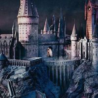 HOGWARTS HOUSE