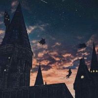 Hogwarts School