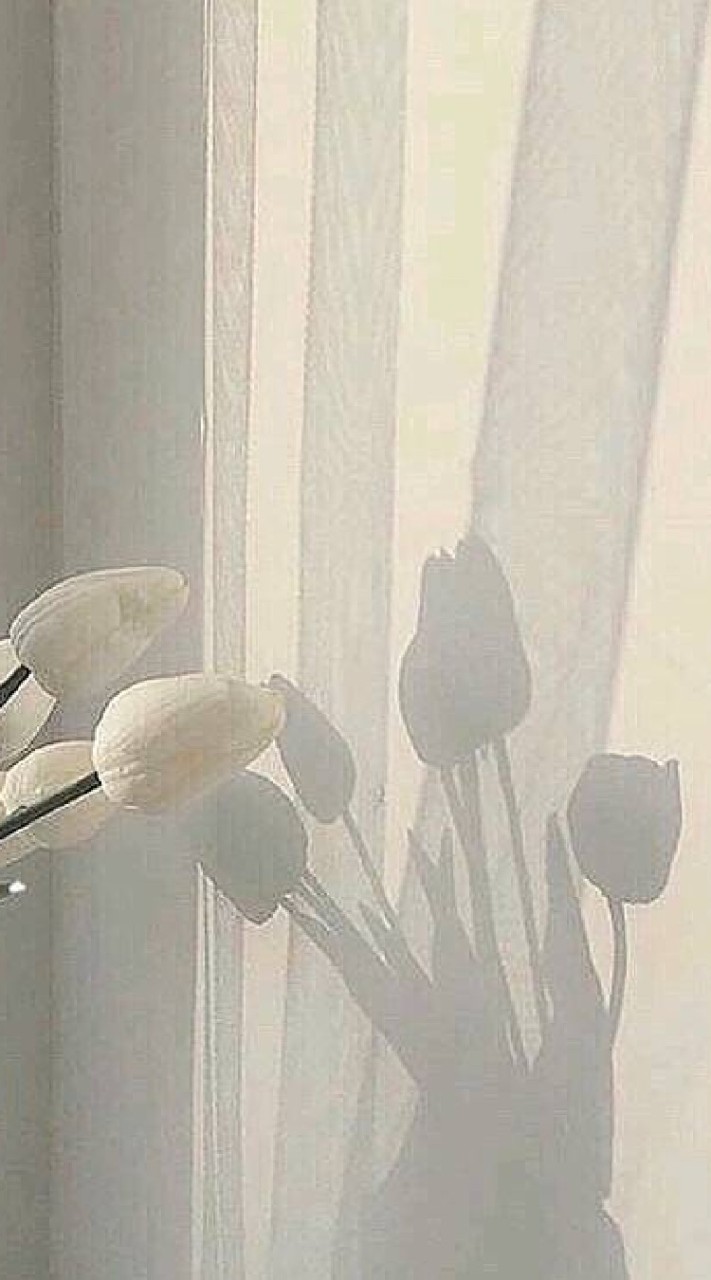 混  じ  っ  た  世  界   ＿    全 緩 也