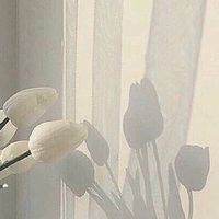 混  じ  っ  た  世  界   ＿    全 緩 也