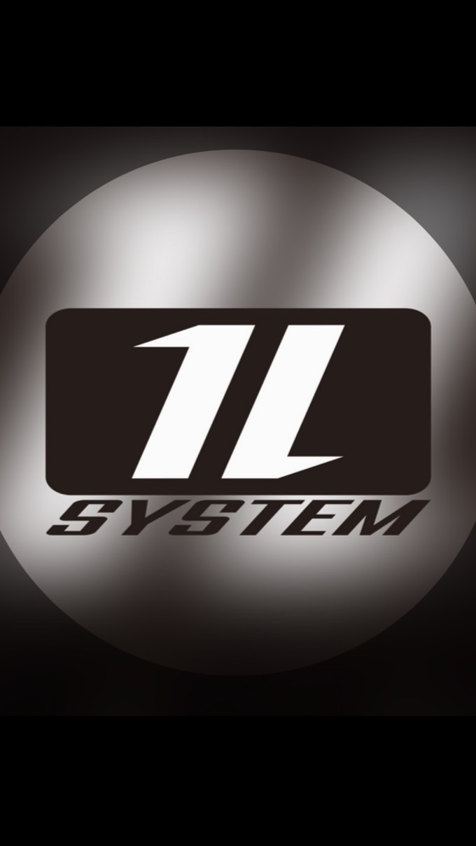 11 SYSTEM