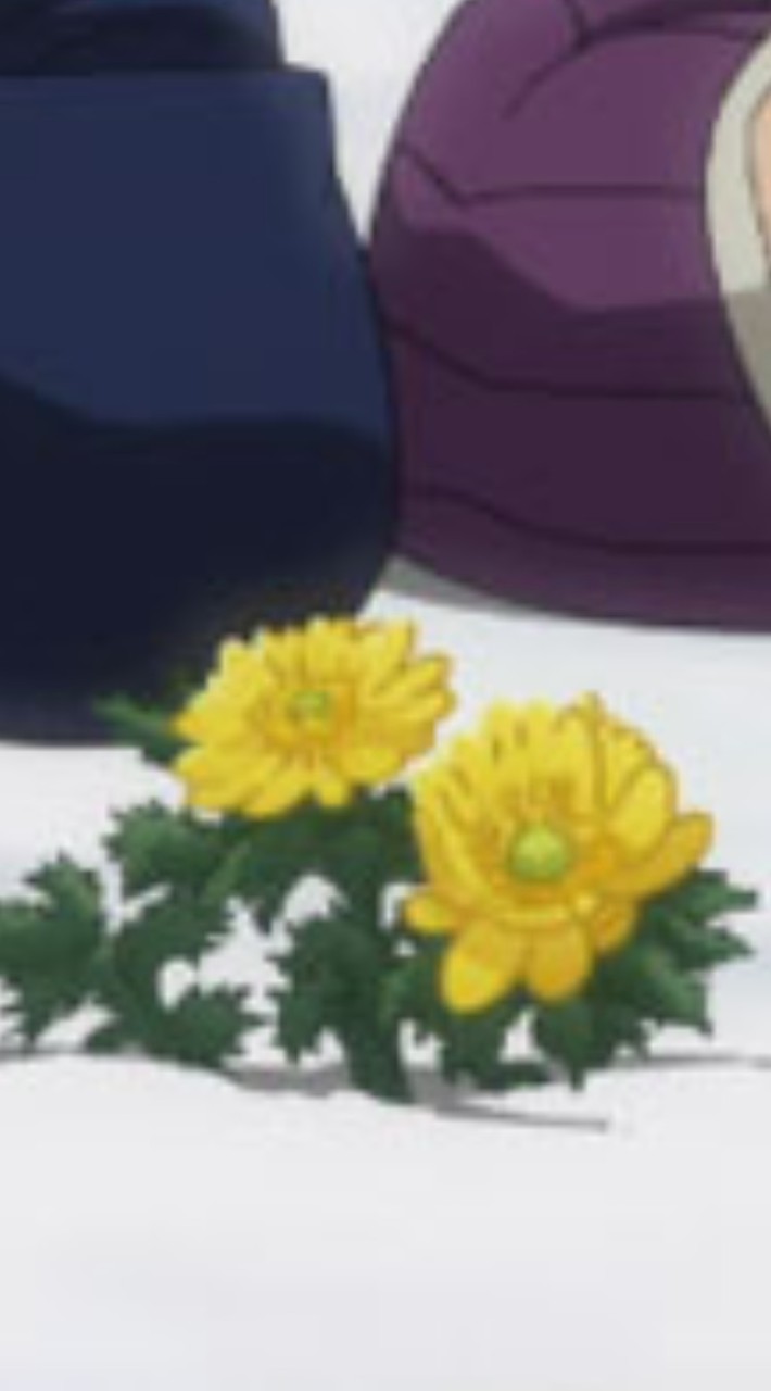 がてふぉオプ(金カム)