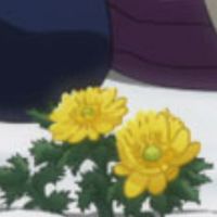 がてふぉオプ(金カム)