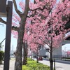 広島修道大学 法学部