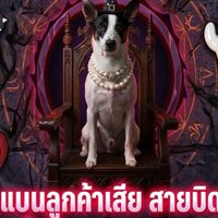 ❌🐶🐱แบนลูกค้าเสีย มะหมามะแมว🐱🐶
