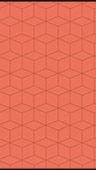 道家傳統太極拳*