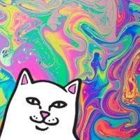 Qoo來個坤坤的鐵山靠好嗎