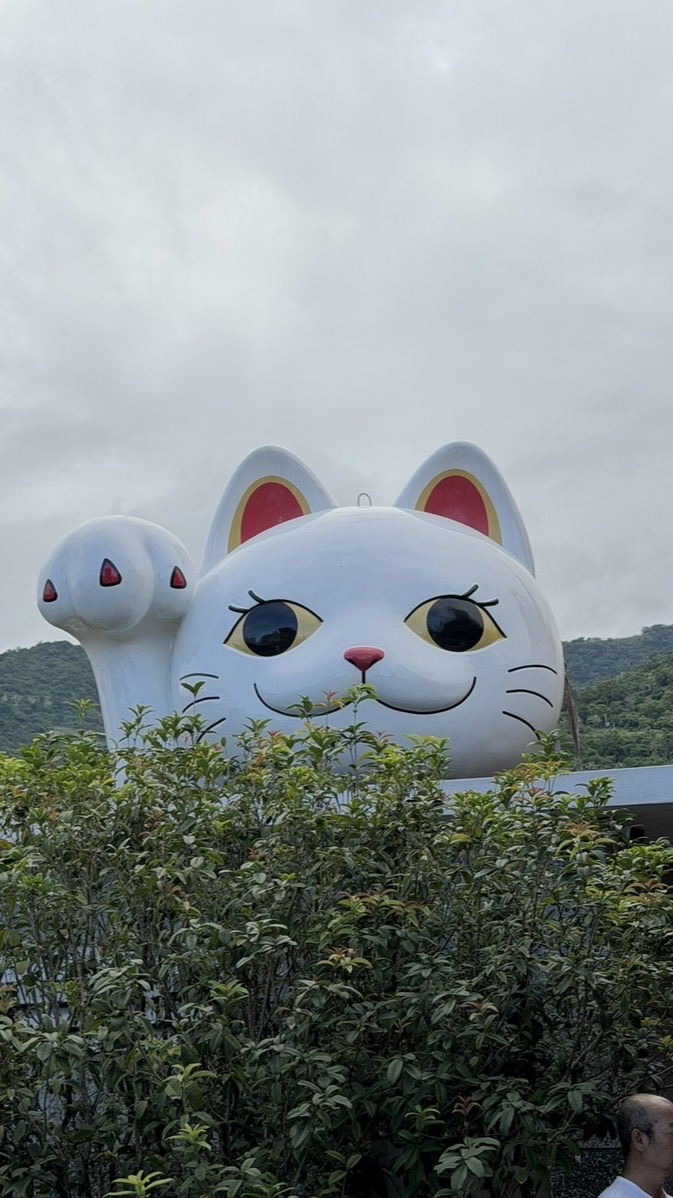 ✨Tang日常選品｜團購社