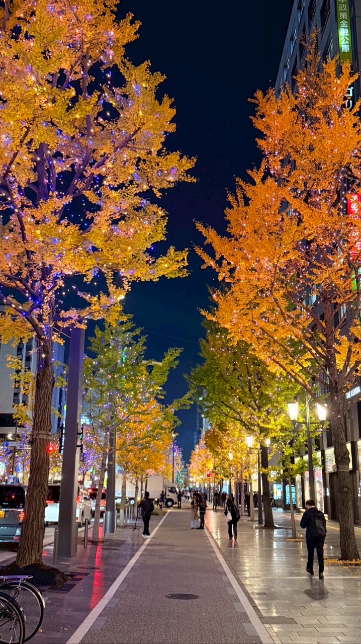 Lin🇯🇵日本代購連線