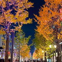 Lin🇯🇵日本代購連線