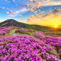 あつまれ～❣️九州発✨登山好きℝ𝕠𝕠𝕞 ㅤ