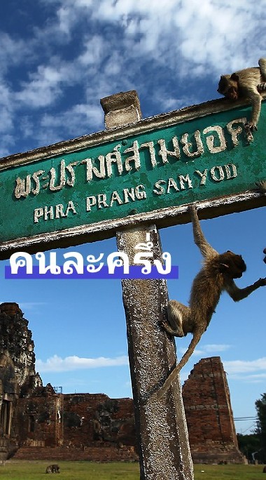 ลพบุรี คนละครึ่ง