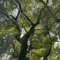 電影音樂賞析（113-1）城市科大通識