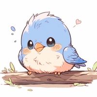 新東114學年704班群