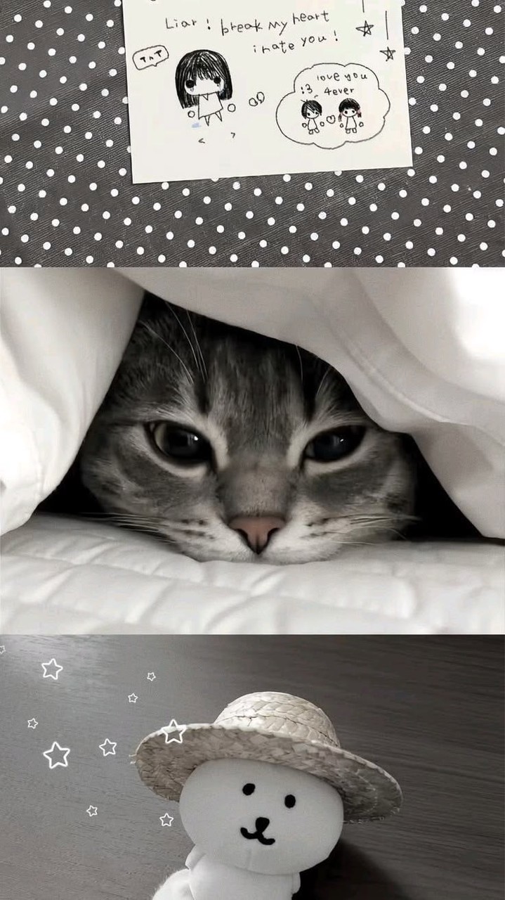 咪咪貓貓🐾