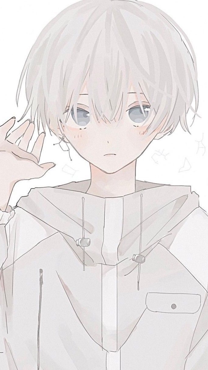 歌雑オプ