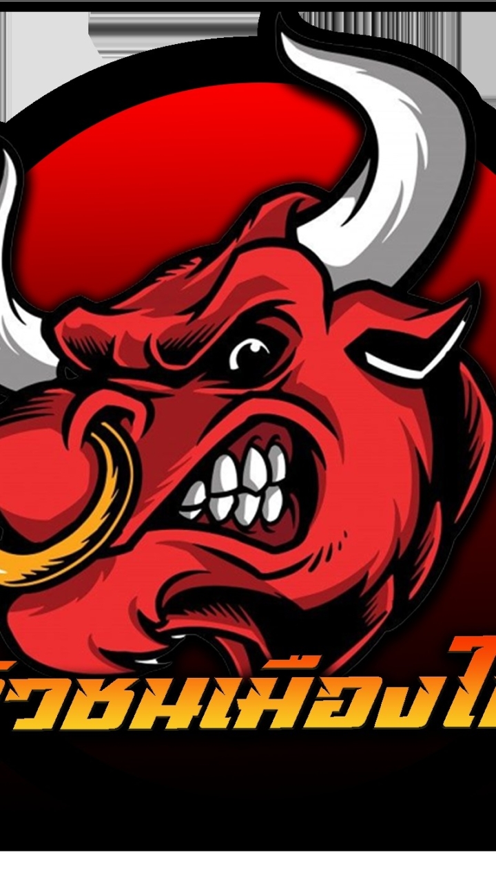 วัวชนเมืองใต้