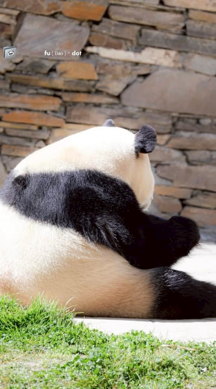福寶我愛你🥰🥰🥰