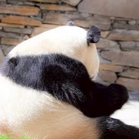 福寶我愛你🥰🥰🥰
