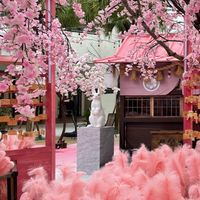 高興開心聊社群(運動 旅遊 美食 攝影 笑話)