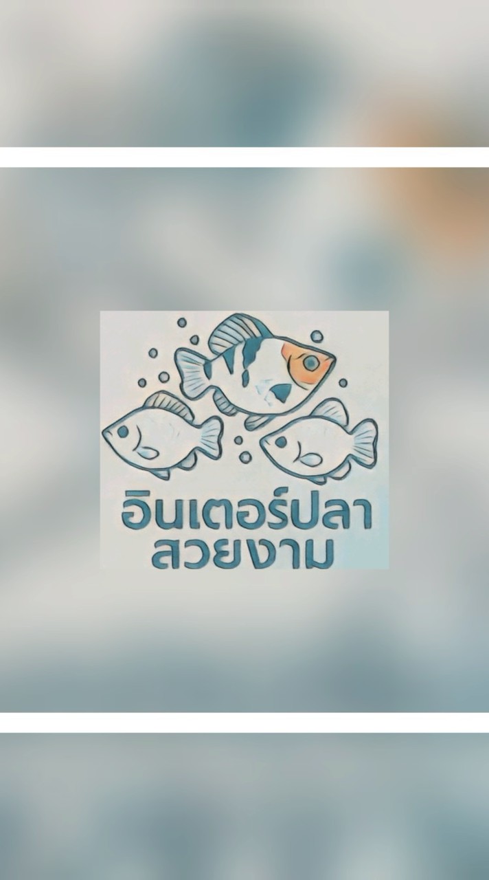 ปลาบอลลูน by.อินเตอร์ปลาสวยงาม