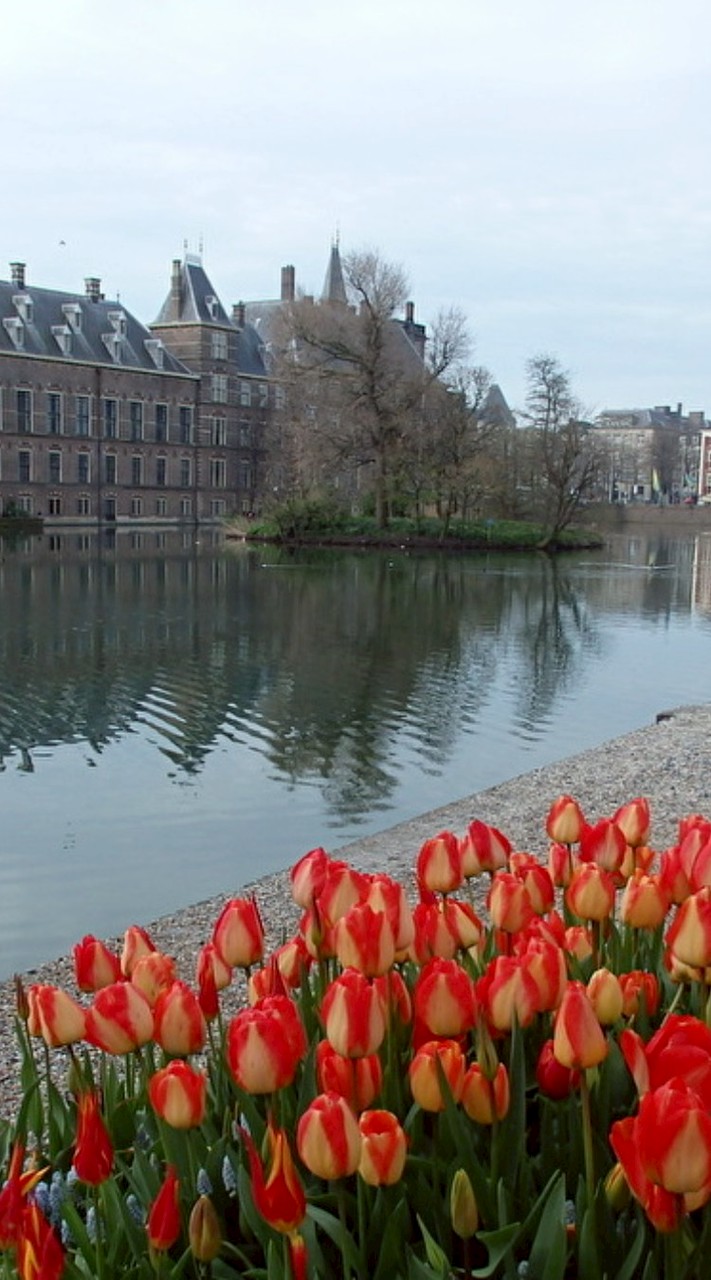 ネーデルラント帝国《Nederlandse Imperium》【Reverie世界線】〚架空国家〛