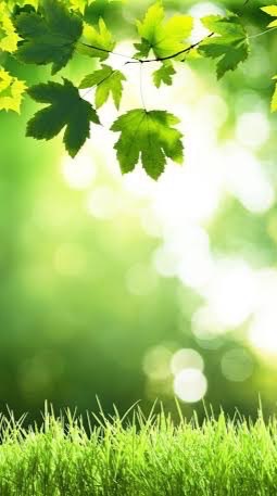 💚心温まる思い出の曲🍀