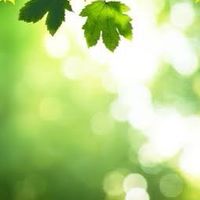 💚心温まる思い出の曲🍀