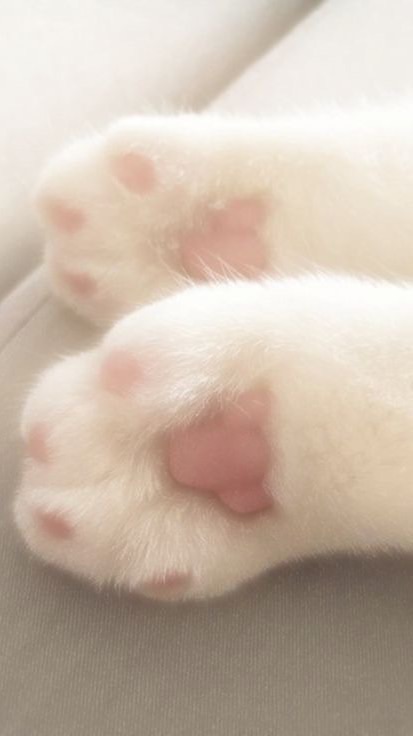 เติมเพรชราคาถูก🪽
