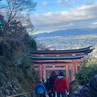 Jou💙🧸 日本🇯🇵挖寶旅行團｜9/26-9/30代購中！